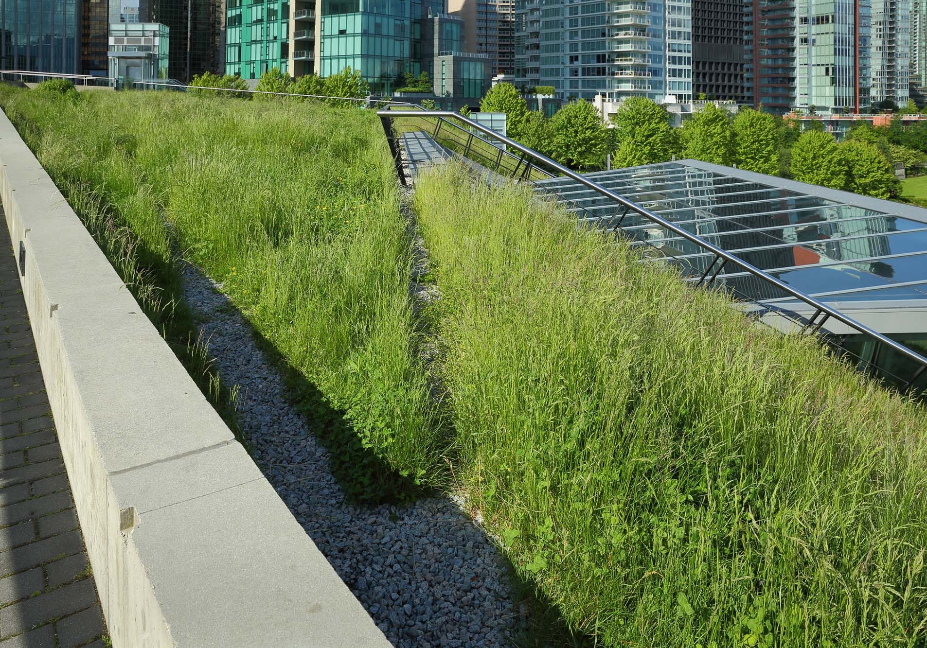 Green roof building